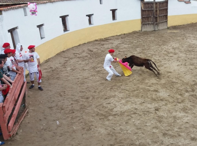 Toreando a la vaquilla