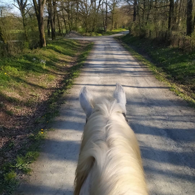  con il cavallo sui sentieri 