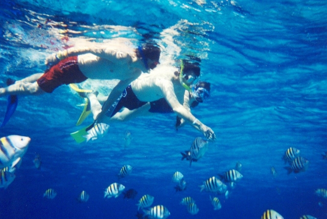  Snorkeling 