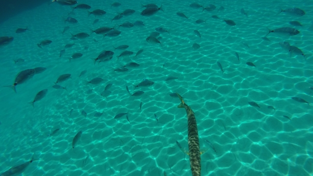  Pêcher dans des eaux cristallines 