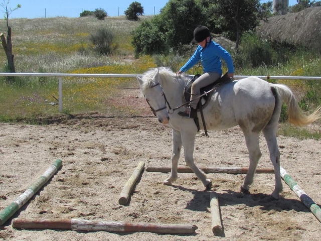 Aprendiendo a llevar al caballo