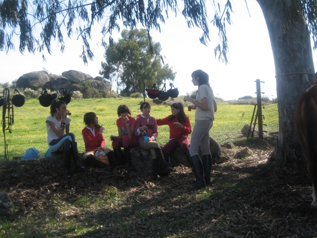 Descansando en el campo