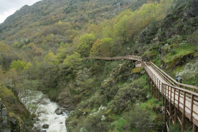 Wooden bridge next to the river 