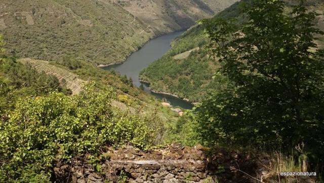  Views of the river from the top