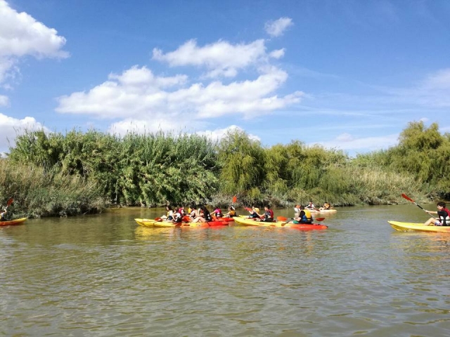 Group of kayaks 