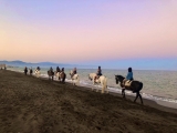 Parcours équestre le long de la plage de Torremolinos, 1h30m