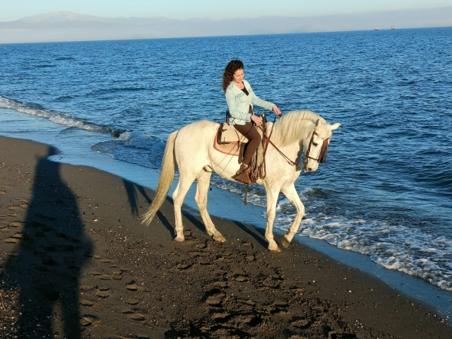  Reiten am Ufer entlang 