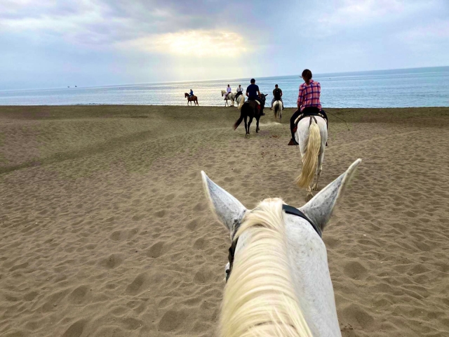  Reiten Gruppe 