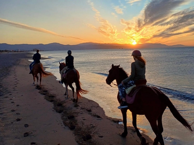  Reiten am Strand bei Sonnenuntergang 