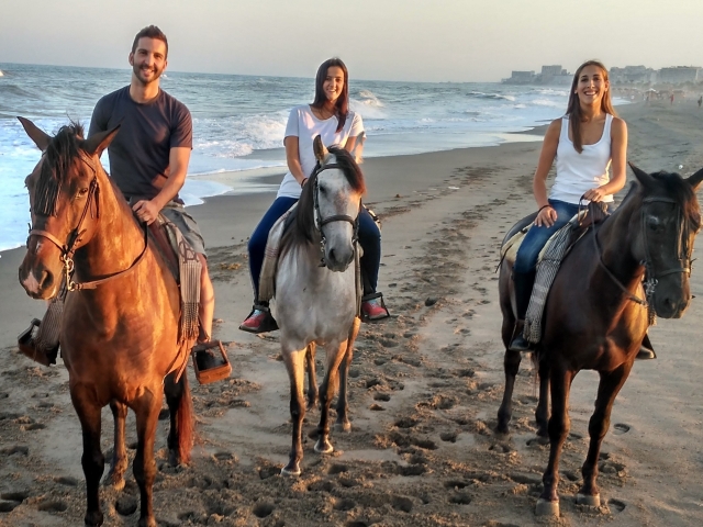  Reiten am Strand