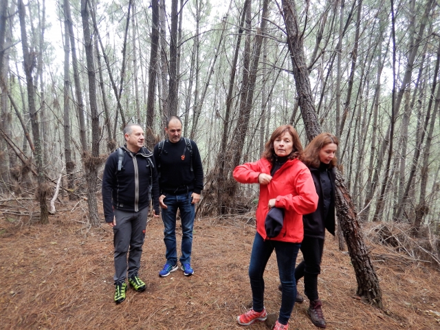  En pleine nature 