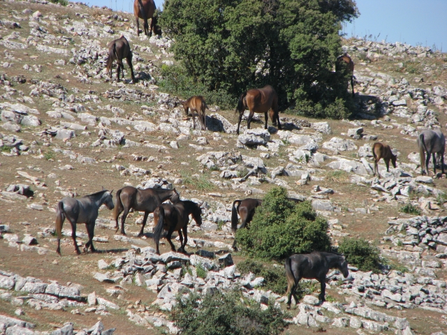  Contatto con la natura 