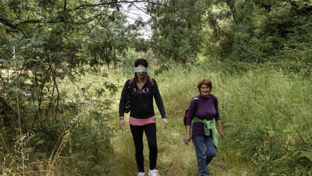  Ein Spaziergang durch den Wald 