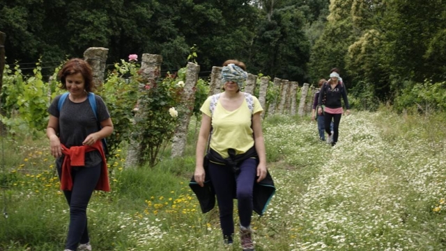  Entspannung im Wald 