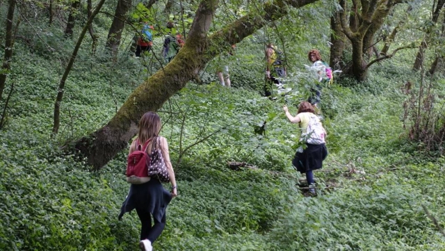  Achtsamkeit im Wald 