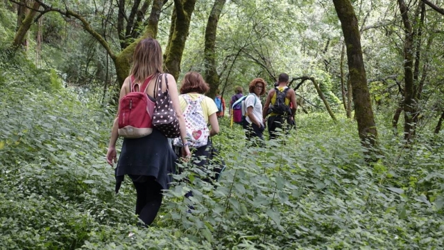  Entspannung in der Natur 