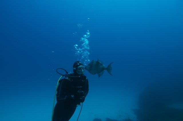  Dive on Formentera beaches 