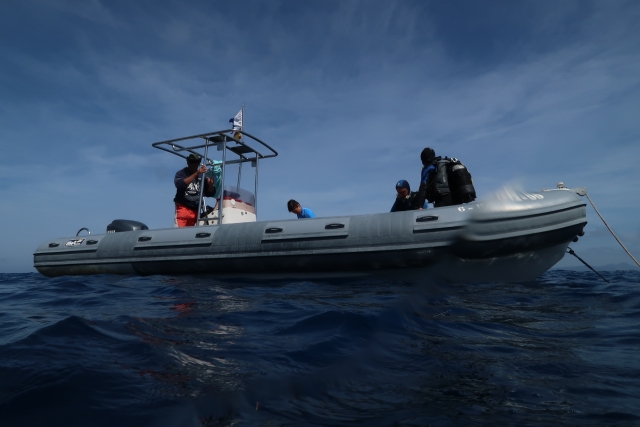  Diving from a boat 