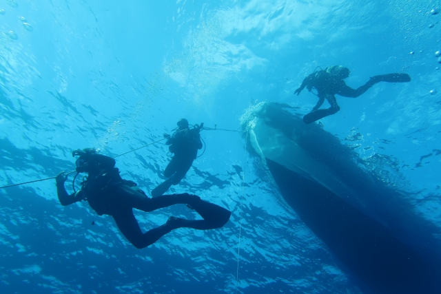  Dive in Formentera with 2 dives 