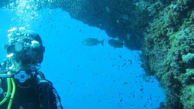  Exploration of the Balearic seabed