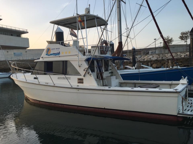  Kommen Sie und fahren Sie mit dem Boot