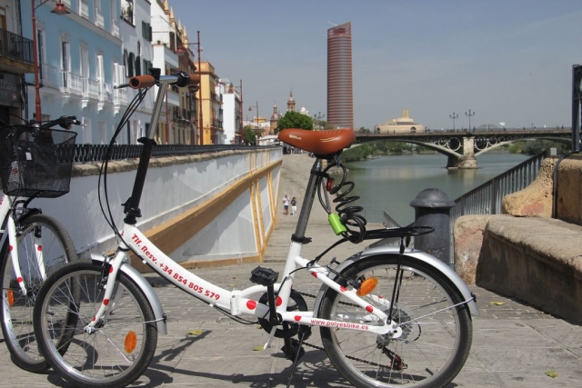 Bicycle rental 