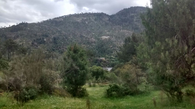 Naturaleza