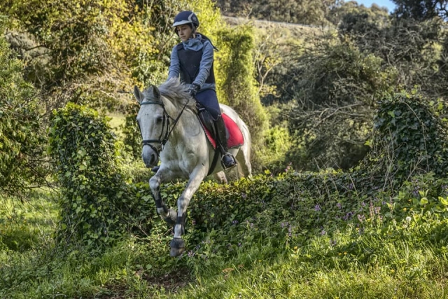 Monta a caballo y diviértete
