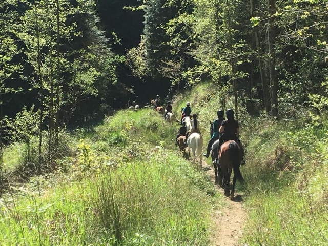 Atravesando caminos