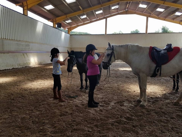Cuidando a los ponis