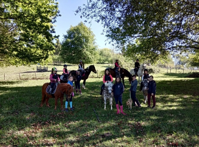 Experiencia con ponis