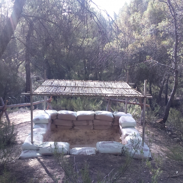 Campo 