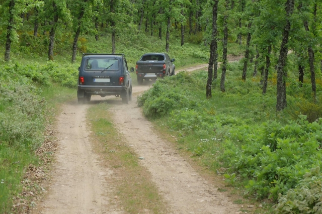 Todoterreno en el bosque