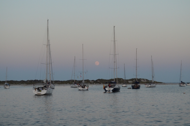 Varios barcos en la costa
