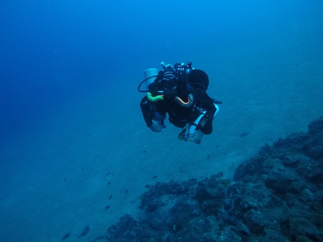  Immersioni a Tenerife 