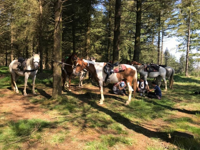  Percurso a cavalo em Gipuzkoa