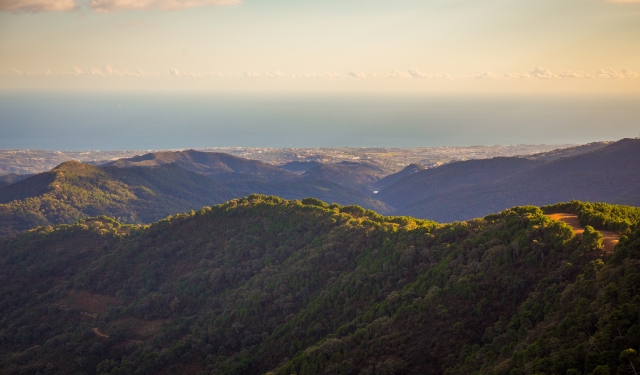 Paisaje de los Montes de Ojén 