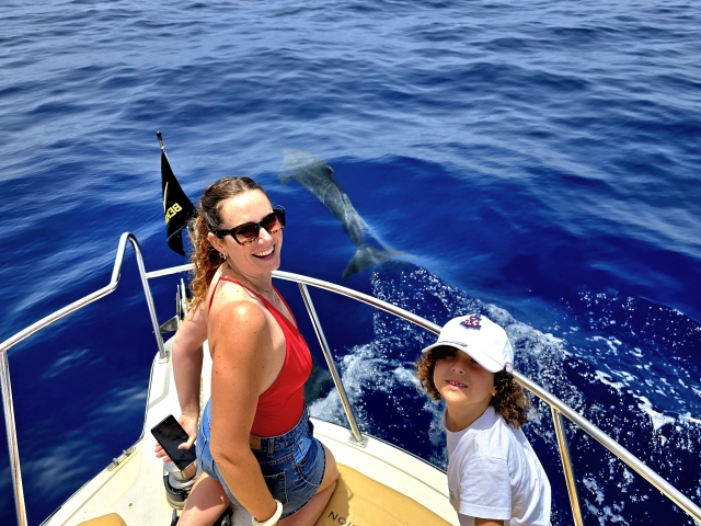 Salida para ver cetáceos