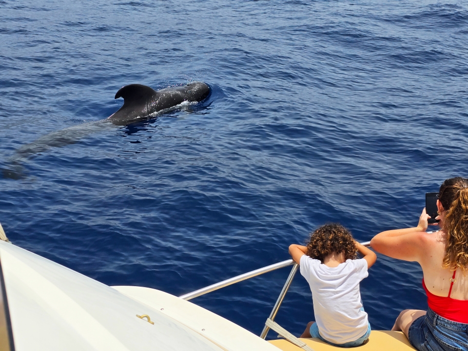 Ideal para los pequeños