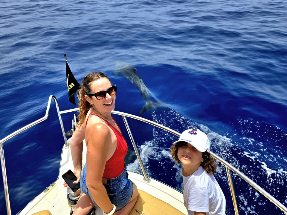 Salida para ver cetáceos