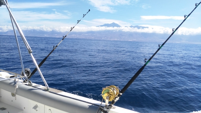  Due canne disposte sul lato della barca pronte per essere utilizzate 