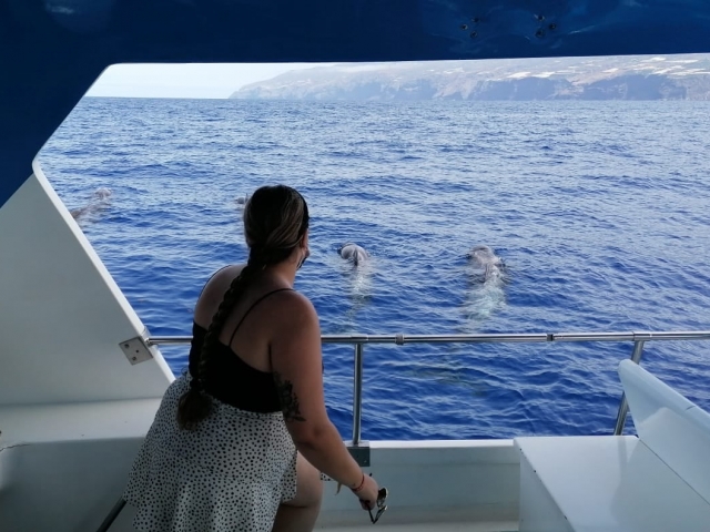 Avistamiento desde el barco