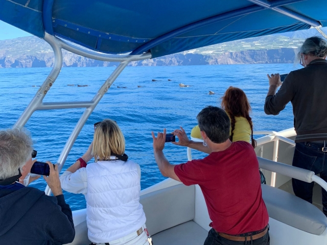  Photographing the cetaceans 