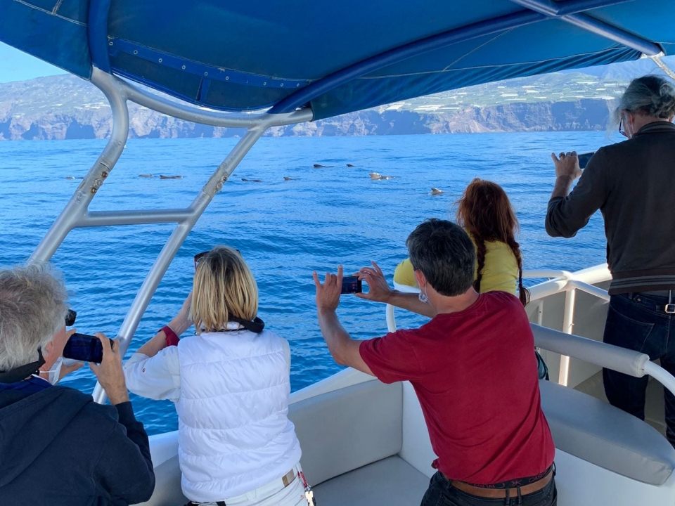  Photographing the cetaceans 