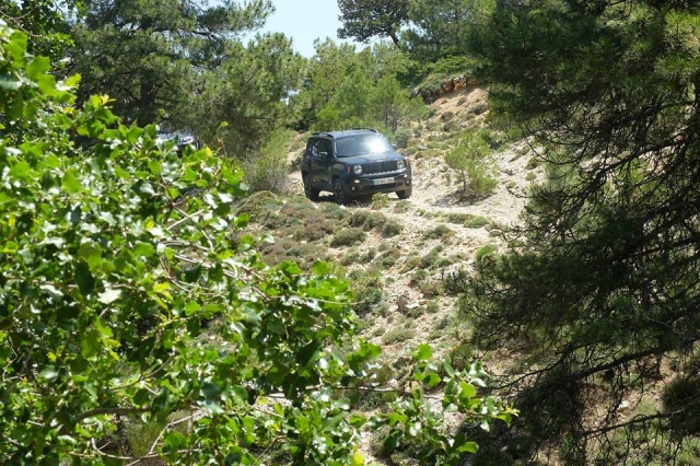  Surrounded by nature 