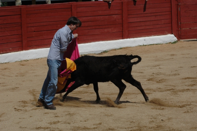  Trimming the heifer 