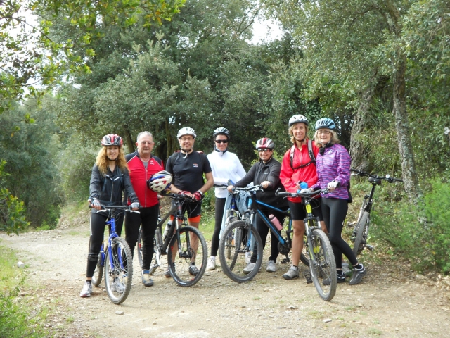  Bicycle rental