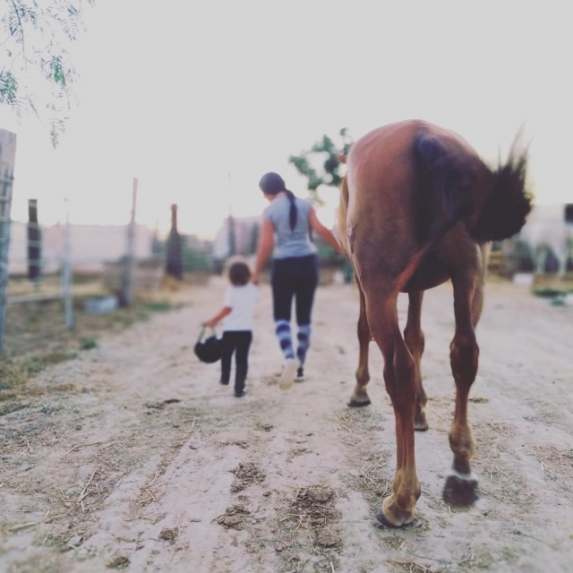 Una madre con su pequeño y un caballo de guía
