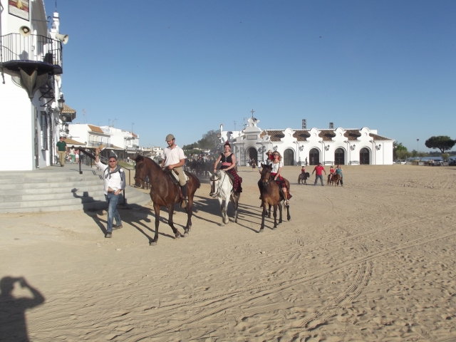 Caballos en la arena