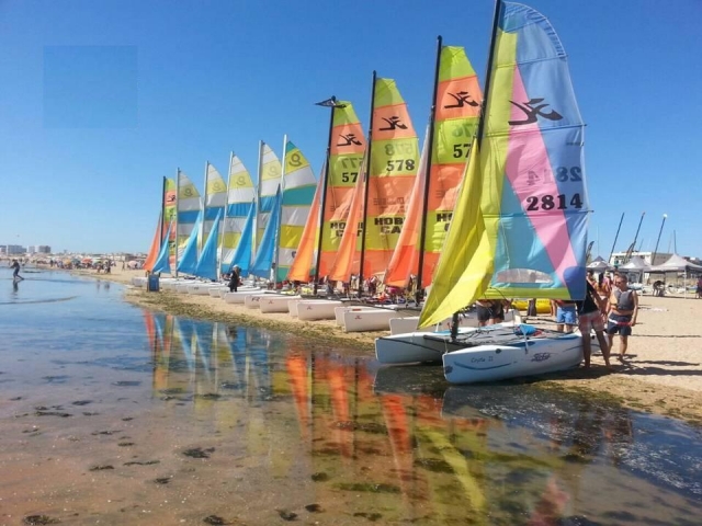  Catamarans in the water